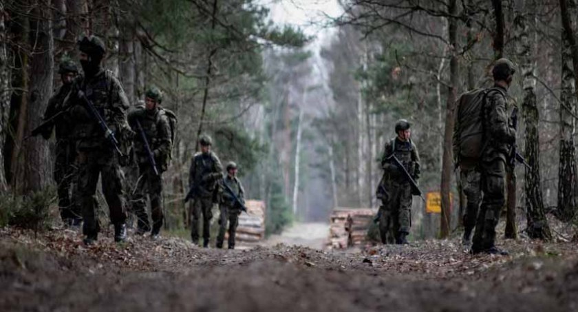 bezpieczeństwo, zostać stołecznym Terytorialsem ponad - zdjęcie, fotografia