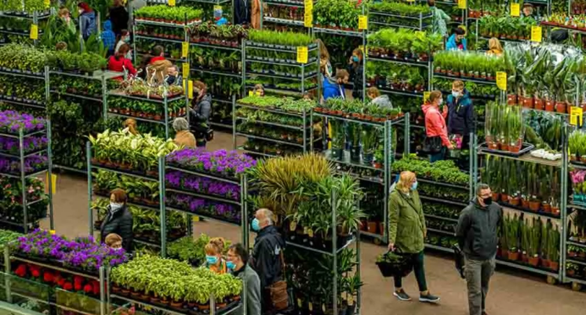 akcje charytatywne , Festiwalu Roślin Narodowym - zdjęcie, fotografia