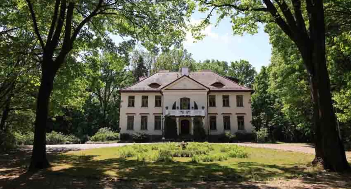 koncerty, Festiwal Stawisko finał! - zdjęcie, fotografia