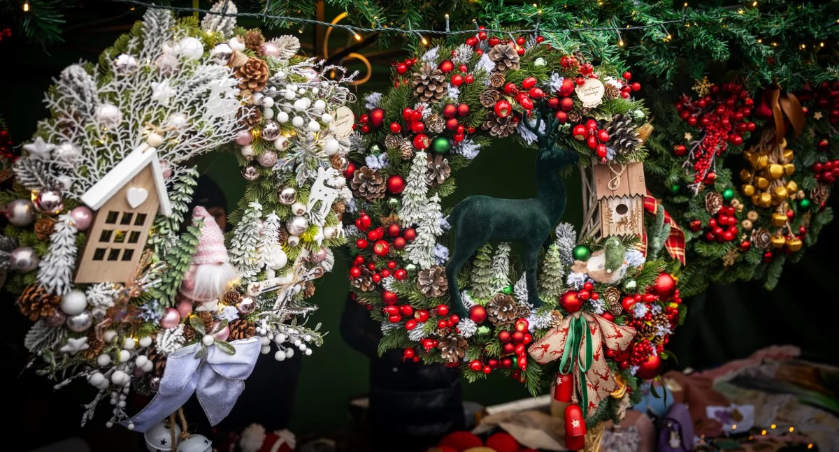 Foto - Mariusz Marcysiak