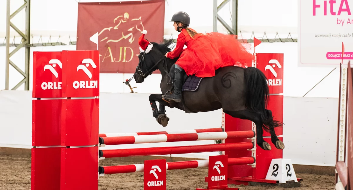 sport szkolny, Jeździecki Dawidach - zdjęcie, fotografia