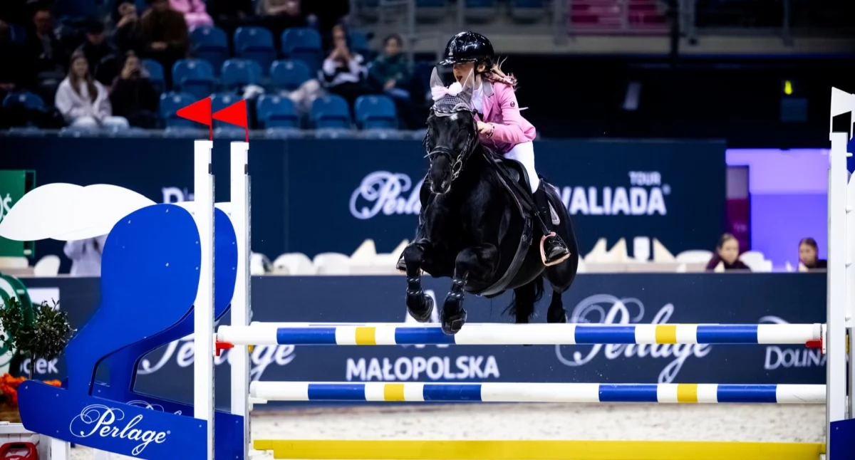edukacja, Kolejne sukcesy jeździeckie Akademii Jeździeckiej Dawidy - zdjęcie, fotografia