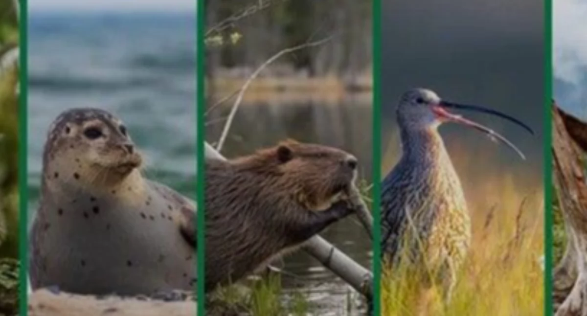 edukacja, PRUSZKÓW GODZINA ZIEMI - zdjęcie, fotografia