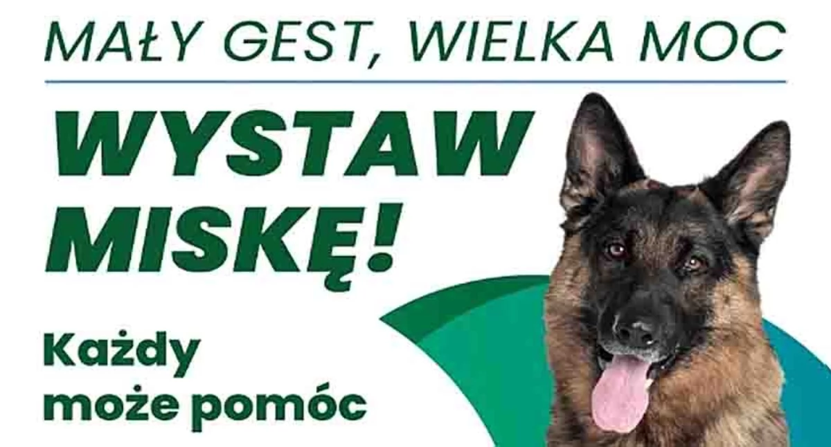 zwierzęta, Mały wielka wystaw miskę! - zdjęcie, fotografia