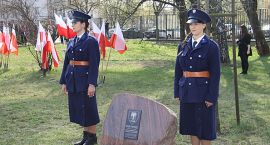 Fotka nr 3 z 13