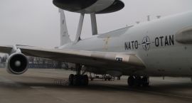 Fotka nr 4 z 17