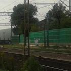 Fotka nr 3 z 13