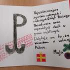 zdjęcie nr 13