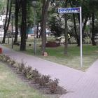 zdjęcie nr 7
