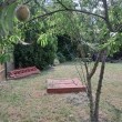 zdjęcie nr 