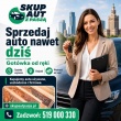 zdjęcie nr 