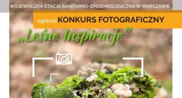 Konkurs fotograficzny „Leśne Inspiracje 2025”