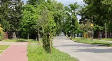 Zmiana organizacji ruchu na ul. 3 Maja w Pruszkowie w dniach 15-18 września 2025 r.