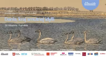 10:49 Wiatr z Północy na Stawisku