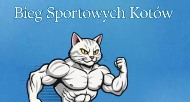 bieg sportowych kotów w Pruszkowie