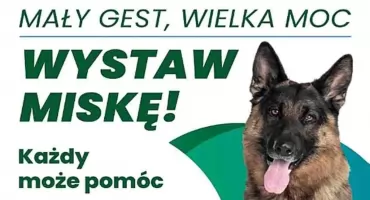 Mały gest, wielka moc – wystaw miskę!
