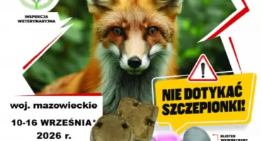 Szczepienie lisów przeciwko wściekliźnie w dniach 10-16 września 2026 r.