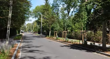 Ulica Leśna w Brwinowie zachęca do spacerowania